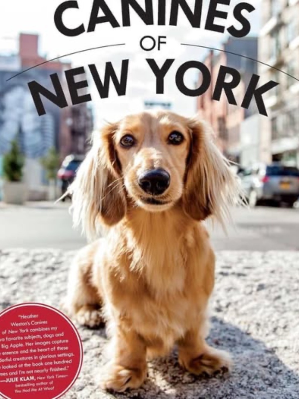 Canines of New York Coffee Table Book | Like New | Heather Weston